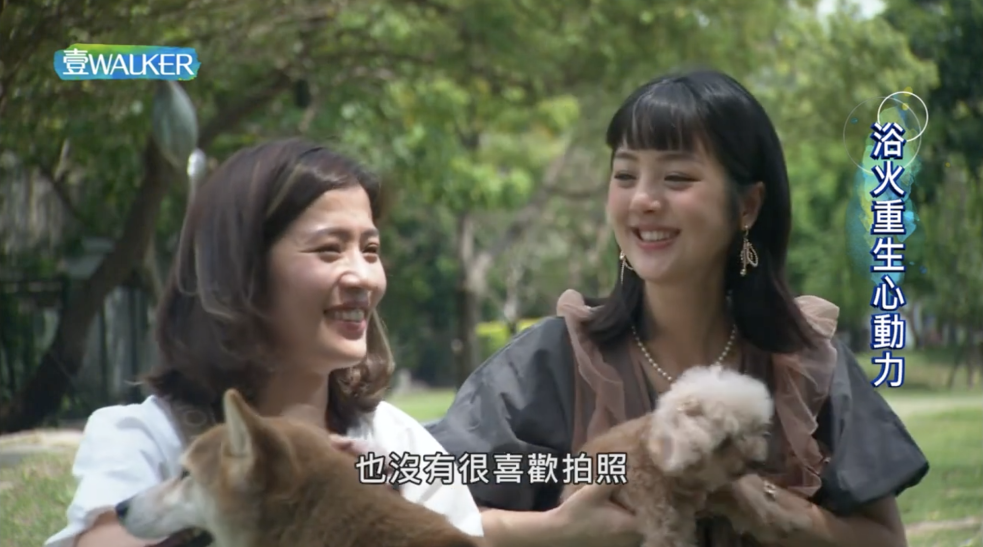 【壹walker/YT】登峰造極千山路。浴火重生心動力。天方夜譚圓夢記。峰迴路轉貴於情